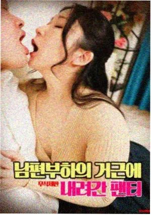 如何分辨正版播放平台与聚合页面